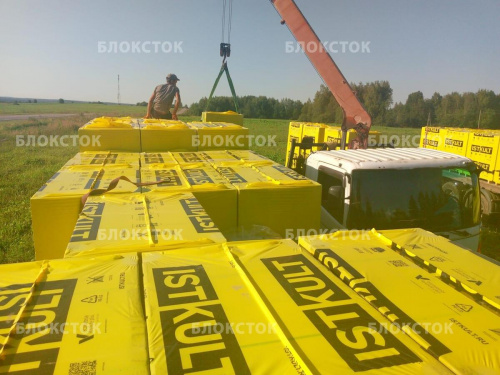 Пеноблоки Istkult D600 625х250х150 перегородочные