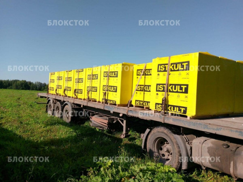Пеноблоки Istkult D500 625х250х100 перегородочные